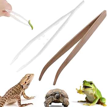 根付け　トカゲ  蜥蜴　爬虫類　竹 61PEJCL0+qL._AC_UF350,